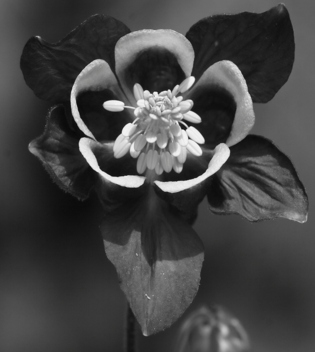 2015 05 17 HTP 000055578ebw